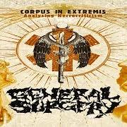 Der musikalische text MORTSAFE RUPTURE von GENERAL SURGERY ist auch in dem Album vorhanden Corpus in extremis: analysing necrocriticism (2009)