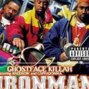 Der musikalische text MARVEL von GHOSTFACE KILLAH ist auch in dem Album vorhanden Ironman (1996)