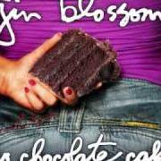 Der musikalische text I DON'T WANT TO LOSE YOU NOW von GIN BLOSSOMS ist auch in dem Album vorhanden No chocolate cake (2010)