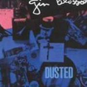 Der musikalische text FOUND OUT ABOUT YOU von GIN BLOSSOMS ist auch in dem Album vorhanden Dusted (re-release) (2002)