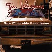 Der musikalische text MY CAR von GIN BLOSSOMS ist auch in dem Album vorhanden Congratulations i'm sorry (1996)