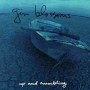 Der musikalische text KELI RICHARDS von GIN BLOSSOMS ist auch in dem Album vorhanden Up and crumbling [ep] (1991)