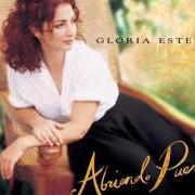 Der musikalische text MILAGRO von GLORIA ESTEFAN ist auch in dem Album vorhanden Abriendo puertas (1995)