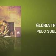 Der musikalische text ZAPATOS VIEJOS von GLORIA TREVI ist auch in dem Album vorhanden Rock milenium (1999)