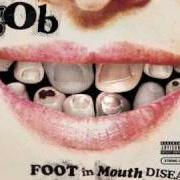 Der musikalische text MING TRAN von GOB ist auch in dem Album vorhanden Foot in mouth disease (2003)