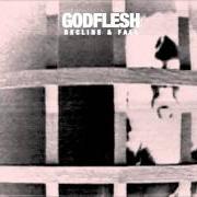 Der musikalische text DECLINE & FALL von GODFLESH ist auch in dem Album vorhanden Decline & fall (2014)