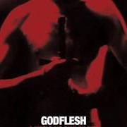 Der musikalische text SHUT ME DOWN von GODFLESH ist auch in dem Album vorhanden A world lit only by fire (2014)
