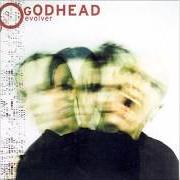 Der musikalische text DREAM von GODHEAD ist auch in dem Album vorhanden Evolver (2003)