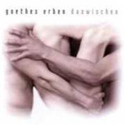 Der musikalische text NEGATIVMASKE von GOETHES ERBEN ist auch in dem Album vorhanden Dazwischen (2005)