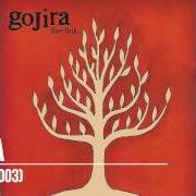 Der musikalische text EMBRACE THE WORLD von GOJIRA ist auch in dem Album vorhanden The link (2003)
