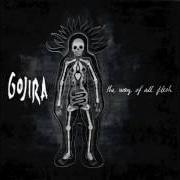 Der musikalische text OROBORUS von GOJIRA ist auch in dem Album vorhanden The way of all flesh (2008)
