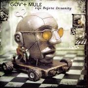 Der musikalische text LAY YOUR BURDEN DOWN von GOV'T MULE ist auch in dem Album vorhanden Life before insanity (2001)