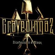 Der musikalische text TODAY'S MATHEMATICS von GRAVEDIGGAZ ist auch in dem Album vorhanden Nightmare in a-minor (2002)