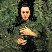 Der musikalische text FANTAISIE MILITAIRE von ALAIN BASHUNG ist auch in dem Album vorhanden Fantaisie militaire (1998)