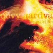 Der musikalische text IMPOSER DE S'IMPLOSER von GROOVY AARDVARK ist auch in dem Album vorhanden Masothérapie (2002)