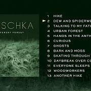 Der musikalische text HIKE von HAUSCHKA ist auch in dem Album vorhanden A different forest (2019)