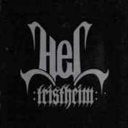Der musikalische text SCHREI INS NICHTS von HEL ist auch in dem Album vorhanden Tristheim (2007)