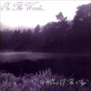 Der musikalische text THE DIVINITY OF WISDOM von IN THE WOODS... ist auch in dem Album vorhanden Heart of ages (1995)