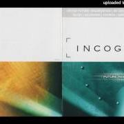 Der musikalische text NIGHTS OVER EGYPT von INCOGNITO ist auch in dem Album vorhanden Future remixed (2000)