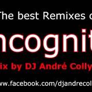 Der musikalische text ROOTS von INCOGNITO ist auch in dem Album vorhanden Remixed (1996)