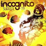 Der musikalische text ABOVE THE NIGHT von INCOGNITO ist auch in dem Album vorhanden Surreal (2012)