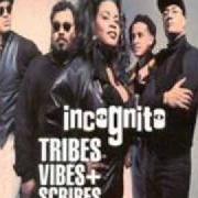 Der musikalische text TRIBAL VIBES von INCOGNITO ist auch in dem Album vorhanden Tribes, vibes and scribes (1992)