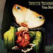 Der musikalische text SULIMAN von INFECTED MUSHROOM ist auch in dem Album vorhanden Vicious delicious (2007)
