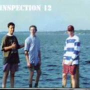 Der musikalische text VANITY FIAR von INSPECTION 12 ist auch in dem Album vorhanden You're a nation (1998)