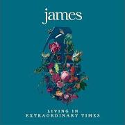 Der musikalische text HEADS von JAMES ist auch in dem Album vorhanden Living in extraordinary times (2018)