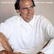Der musikalische text THAT'S WHY I'M HERE (REPRISE) von JAMES TAYLOR ist auch in dem Album vorhanden That's why i'm here (1985)