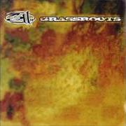 Der musikalische text TAIYED von 311 ist auch in dem Album vorhanden Grassroots (1994)