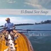Der musikalische text EINSTEIN WAS A SURFER von JIMMY BUFFETT ist auch in dem Album vorhanden Songs from st. somewhere (2013)