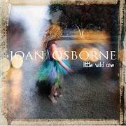 Der musikalische text LITTLE WILD ONE von JOAN OSBORNE ist auch in dem Album vorhanden Little wild one (2008)