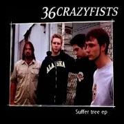 Der musikalische text NAME YOUR RAPIST von 36 CRAZYFISTS ist auch in dem Album vorhanden Suffer tree - ep (1997)
