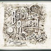 Der musikalische text SHADOW DAYS von JOHN MAYER ist auch in dem Album vorhanden Born and raised (2012)
