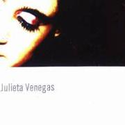 Der musikalische text SALVAVIDAS von JULIETA VENEGAS ist auch in dem Album vorhanden Bueninvento (2000)