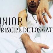 Der musikalische text TANGO, TANGO, TANGO TENGO von JUNIOR MIGUEZ ist auch in dem Album vorhanden Príncipe de los gatos (2003)