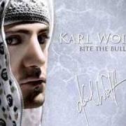 Der musikalische text SILENT TYPE von KARL WOLF ist auch in dem Album vorhanden Bite the bullet (2007)