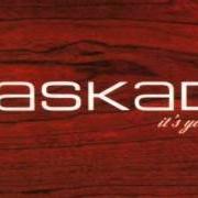 Der musikalische text CHARLIE'S PLIGHT von KASKADE ist auch in dem Album vorhanden It's you, it's me (2003)