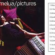 Der musikalische text IF THE LIGHTS GO OUT von KATIE MELUA ist auch in dem Album vorhanden Pictures (2007)