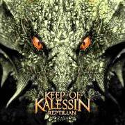 Der musikalische text LEAVING THE MORTAL FLESH von KEEP OF KALESSIN ist auch in dem Album vorhanden Reptilian (2010)