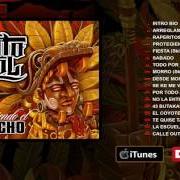 Der musikalische text NO LA ENTIENDO von KINTO SOL ist auch in dem Album vorhanden Protegiendo el penacho (2015)
