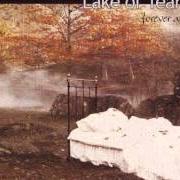 Der musikalische text OTHERWHERES von LAKE OF TEARS ist auch in dem Album vorhanden Forever autumn (1999)
