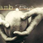 Der musikalische text HEARTS AND FLOWERS von LAMB ist auch in dem Album vorhanden Between darkness and wonder (2003)