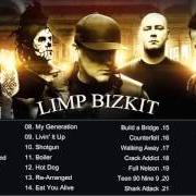 Der musikalische text NOOKIE von LIMP BIZKIT ist auch in dem Album vorhanden Greatest hits (2005)