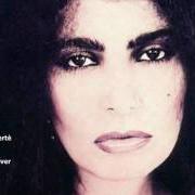 Der musikalische text UN'AUTOMOBILE DI TRENT'ANNI von LOREDANA BERTÈ ist auch in dem Album vorhanden Jazz (1983)