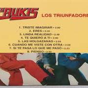 Der musikalische text TE QUIERO A TI von LOS BUKIS ist auch in dem Album vorhanden Los triunfadores (1979)
