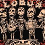 Der musikalische text MEXICO AMERICANO von LOS LOBOS ist auch in dem Album vorhanden Acoustic en vivo (2005)