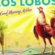 Der musikalische text HEARTS OF STONE von LOS LOBOS ist auch in dem Album vorhanden Good morning aztlan (2002)
