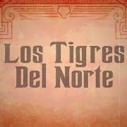 Der musikalische text LA LEY DEL MONTE von LOS TIGRES DEL NORTE ist auch in dem Album vorhanden Mujeres divinas (2020)